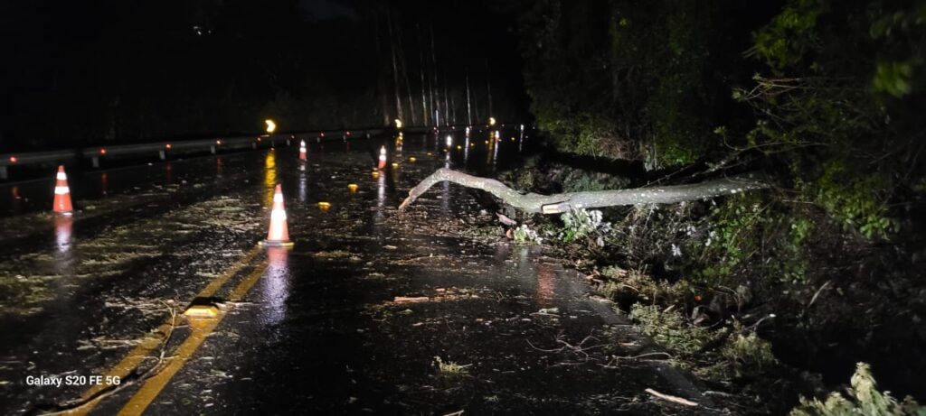 Temporal acompanhado de vento forte causa transtornos em Caxias do