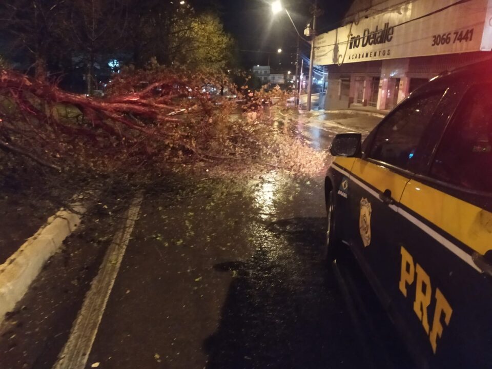 FOTOS: vento provoca queda de árvores, falta de energia elétrica e